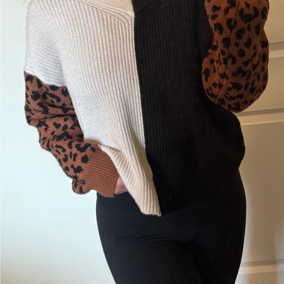 Leopard Sleeve Colorblock Sweater - Picture 2 of 3